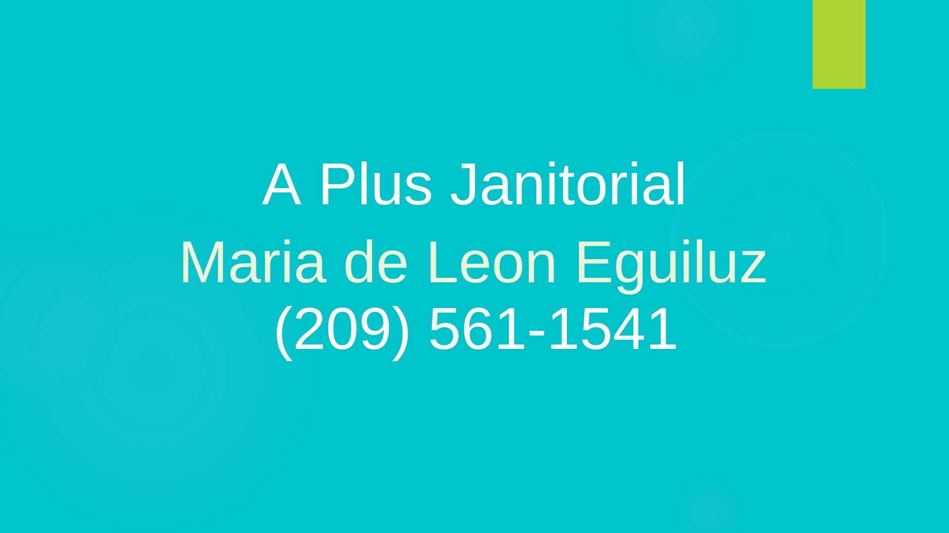 A Plus Janitorial