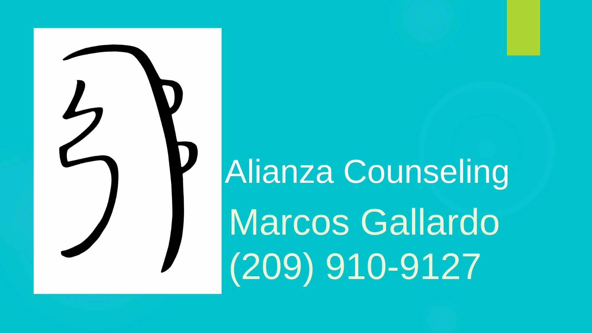 Alianza Counseling